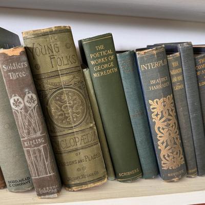 Antique Books in Various Shades of Blue and Green (LR-DZ)