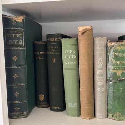 Antique Books in Various Shades of Blue and Green (LR-DZ)