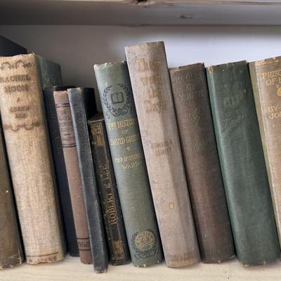 Antique Books in Various Shades of Blue and Green (LR-DZ)