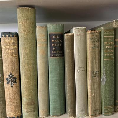Antique Books in Various Shades of Blue and Green (LR-DZ)