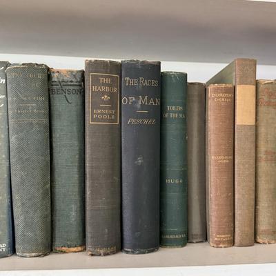 Antique Books in Various Shades of Blue and Green (LR-DZ)