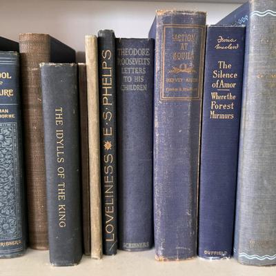 Antique Books in Various Shades of Blue and Green (LR-DZ)