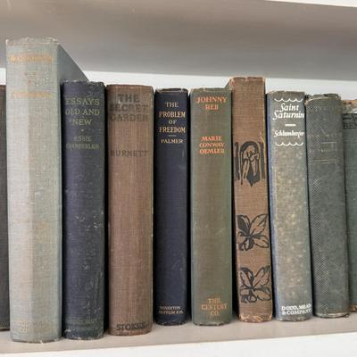 Antique Books in Various Shades of Blue and Green (LR-DZ)