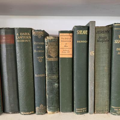 Antique Books in Various Shades of Blue and Green (LR-DZ)