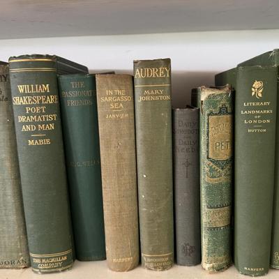 Antique Books in Various Shades of Blue and Green (LR-DZ)