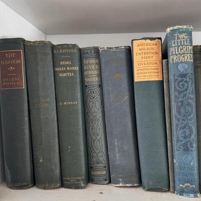 Antique Books in Various Shades of Blue and Green (LR-DZ)