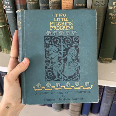 Antique Books in Various Shades of Blue and Green (LR-DZ)