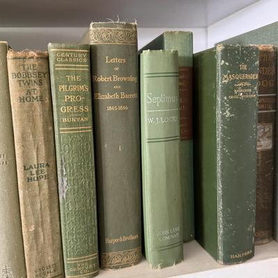 Antique Books in Various Shades of Blue and Green (LR-DZ)