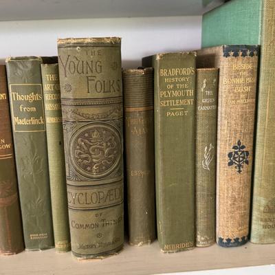 Antique Books in Various Shades of Blue and Green (LR-DZ)