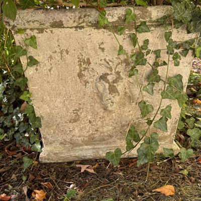 Two Concrete Planters (Y-DZ)