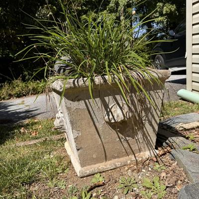 Two Concrete Planters (Y-DZ)