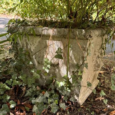 Two Concrete Planters (Y-DZ)