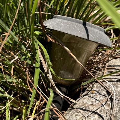 Two Concrete Planters (Y-DZ)