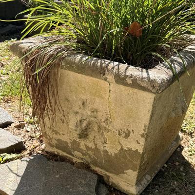 Two Concrete Planters (Y-DZ)