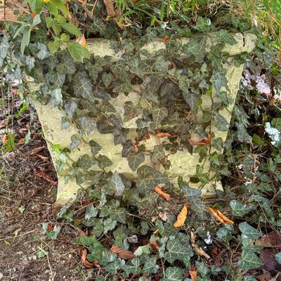 Two Concrete Planters (Y-DZ)