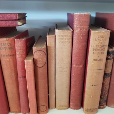 Assortment of Red Antique and Vintage Books (LR-KD)