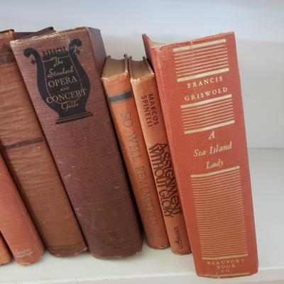 Assortment of Red Antique and Vintage Books (LR-KD)