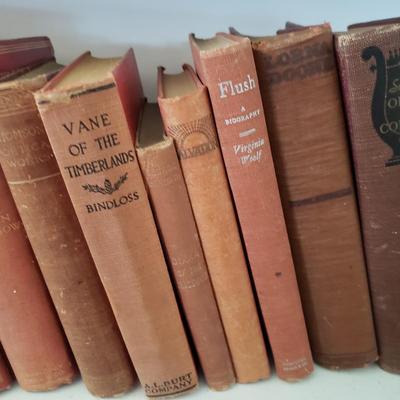 Assortment of Red Antique and Vintage Books (LR-KD)