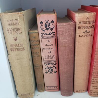 Assortment of Red Antique and Vintage Books (LR-KD)