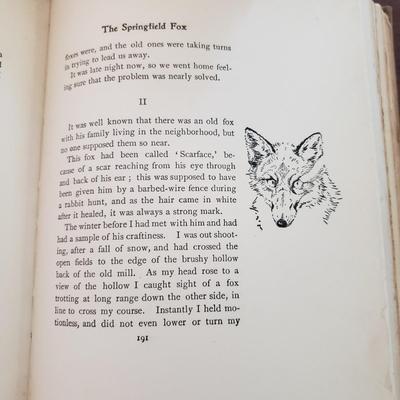 Five Animal Themed Books (LR-KD)