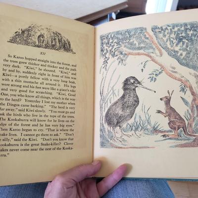 Five Animal Themed Books (LR-KD)