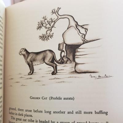 Five Animal Themed Books (LR-KD)