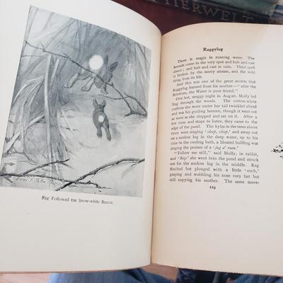 Five Animal Themed Books (LR-KD)