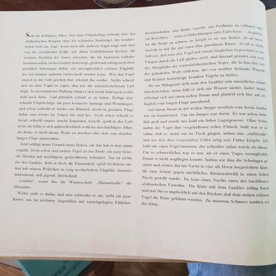 Five Animal Themed Books (LR-KD)