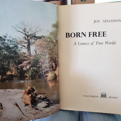 Five Animal Themed Books (LR-KD)