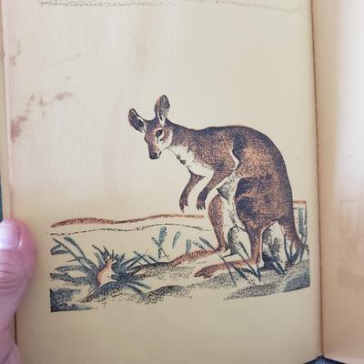 Five Animal Themed Books (LR-KD)