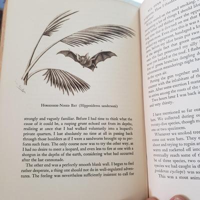 Five Animal Themed Books (LR-KD)