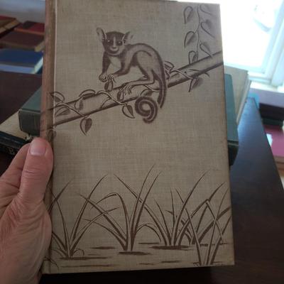 Five Animal Themed Books (LR-KD)