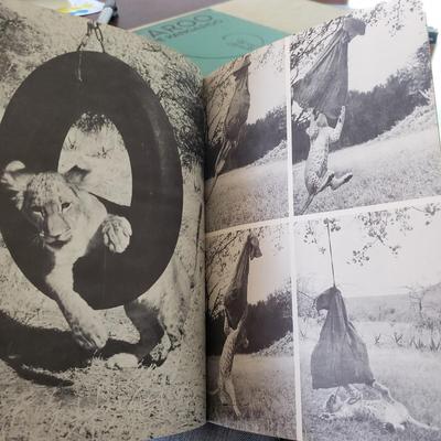 Five Animal Themed Books (LR-KD)