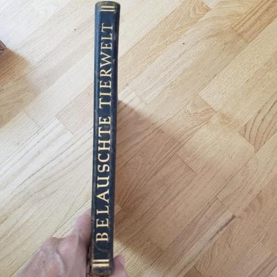 Five Animal Themed Books (LR-KD)