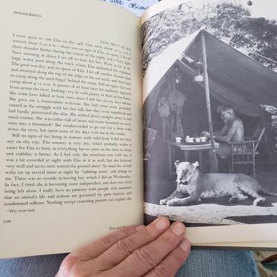 Five Animal Themed Books (LR-KD)