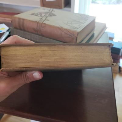 Five Animal Themed Books (LR-KD)