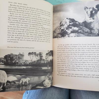 Five Animal Themed Books (LR-KD)