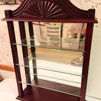 Lot #375 Contemporary Display Case - Wall or Stand up