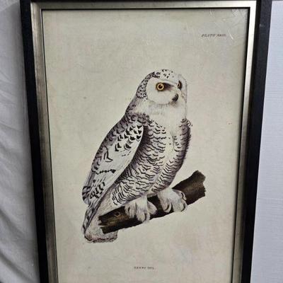 owl art -Xlarge framed
4 x 6'