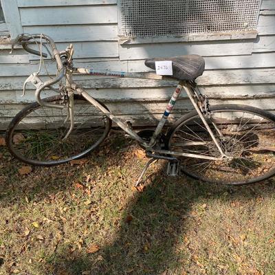 Prince Bicycle