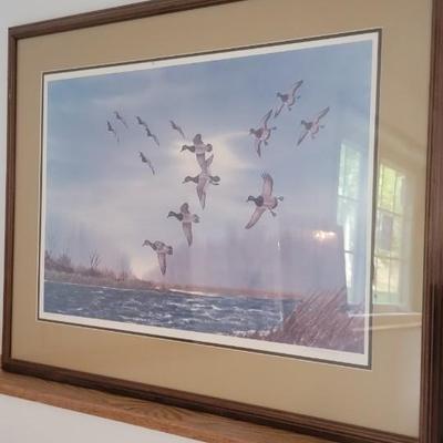 Lot of 5 waterfowl pictures