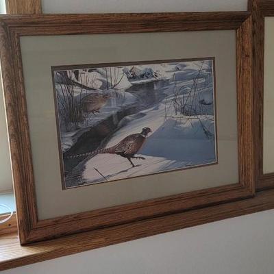 Lot of 5 waterfowl pictures