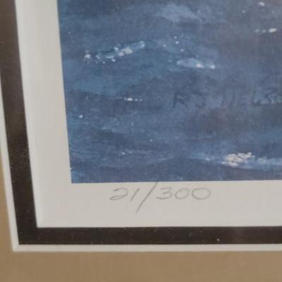 Lot of 5 waterfowl pictures