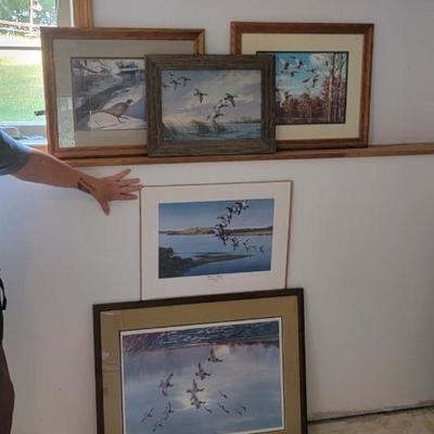Lot of 5 waterfowl pictures