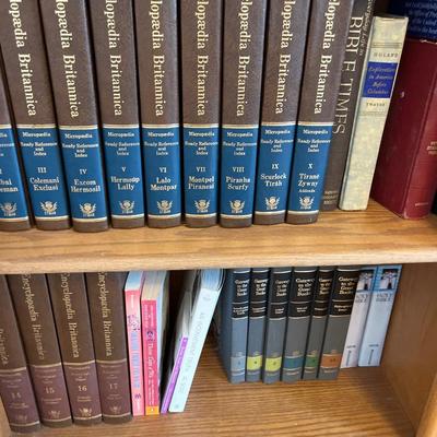 Wood bookcase with books