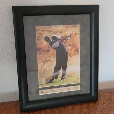 Tiger Woods framed photo