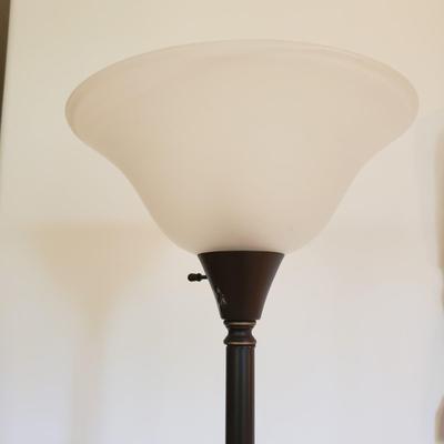 Brown Metal Torchiere Floor Lamp (LLR-KD)