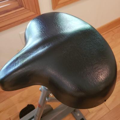 Schwinn DX 900 Indoor Cycle (LLR-KD)