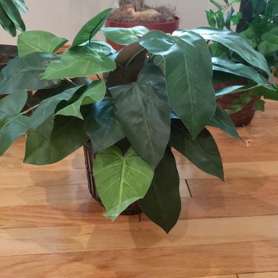 Four Faux Plants (LLR-KD)