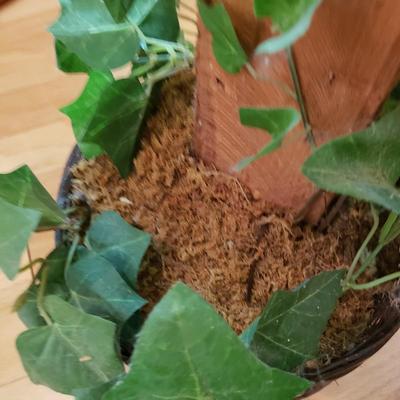 Four Faux Plants (LLR-KD)